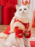 Close-up of a white cat wearing a red traditional Chinese style coat with embroidered floral patterns and faux fur trim around the neck and sleeves