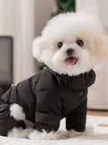 Close-up of a small dog wearing a black puffer jacket