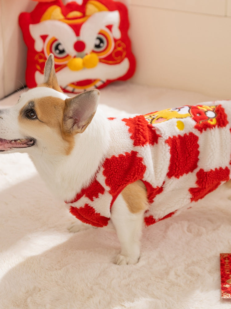 Corgi dog wearing a red and white checkerboard plush dog coat, side profile.
