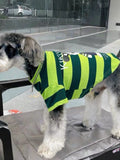 Rear side view of a miniature schnauzer wearing a green and dark green striped dog t-shirt with graphic print.