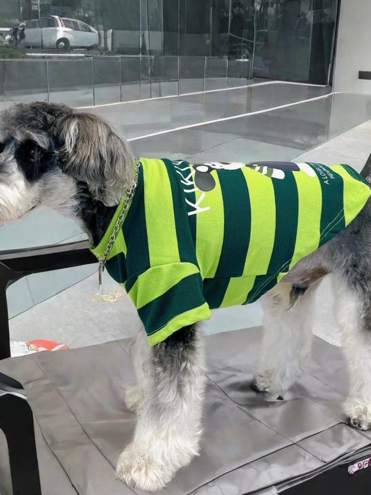 Rear side view of a miniature schnauzer wearing a green and dark green striped dog t-shirt with graphic print.