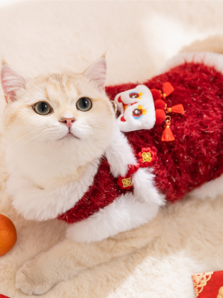 A cat lounging in a red and white festive vest, looking towards the camera.