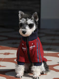 Mini Schnauzer sitting in a red dog jacket with navy blue collar and zipper.