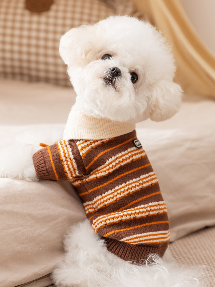 A white Bichon Frise dog leans on its paws while wearing a brown and orange striped knit sweater.