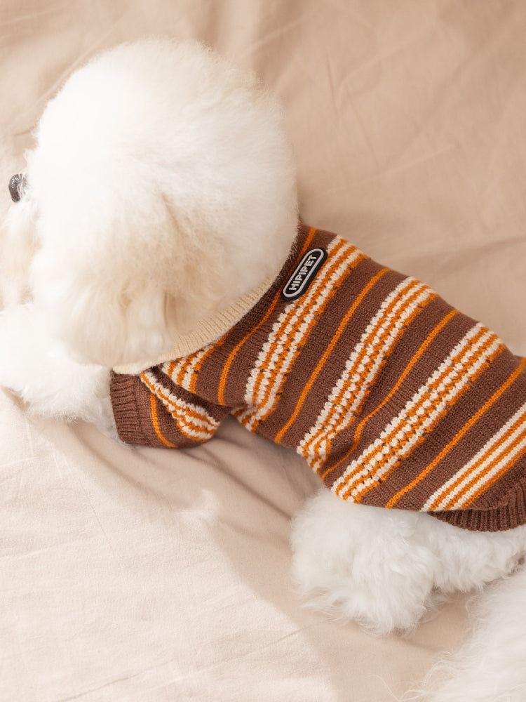 Rear view of a Bichon Frise dog wearing a brown and orange striped knit sweater with a cream collar and an embroidered logo tag.