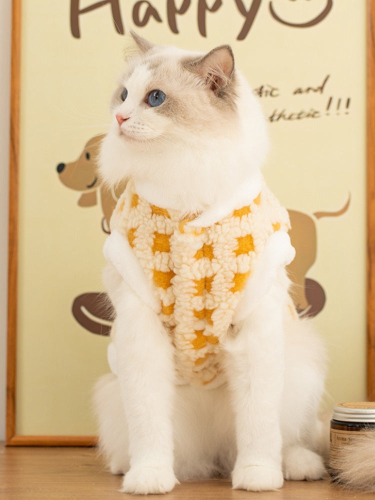 Ragdoll cat wearing a yellow and white checkered fleece pet vest with a white collar