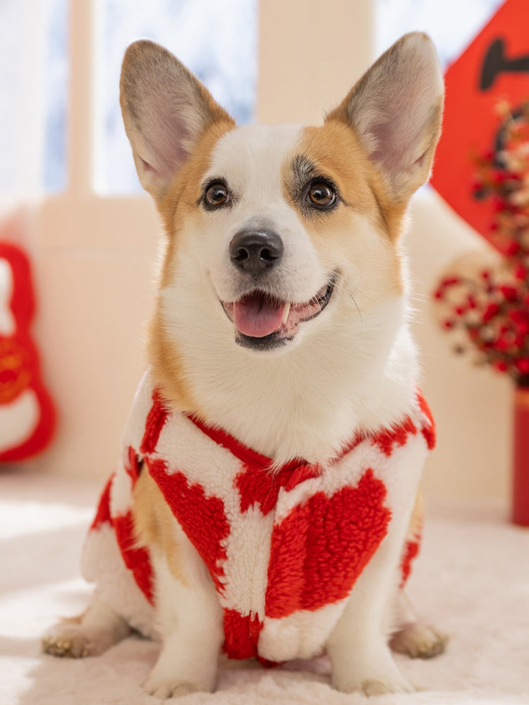 Corgi dog wearing a red and white checkerboard plush dog coat with a festive graphic.