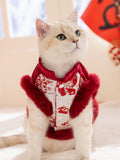 Cat wearing a red and white traditional Chinese inspired pet vest with faux fur trim and floral embroidery.