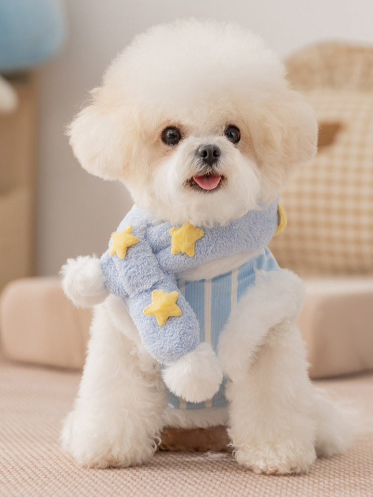 A small white dog wearing a blue and white striped coat with yellow star appliques and a matching scarf.