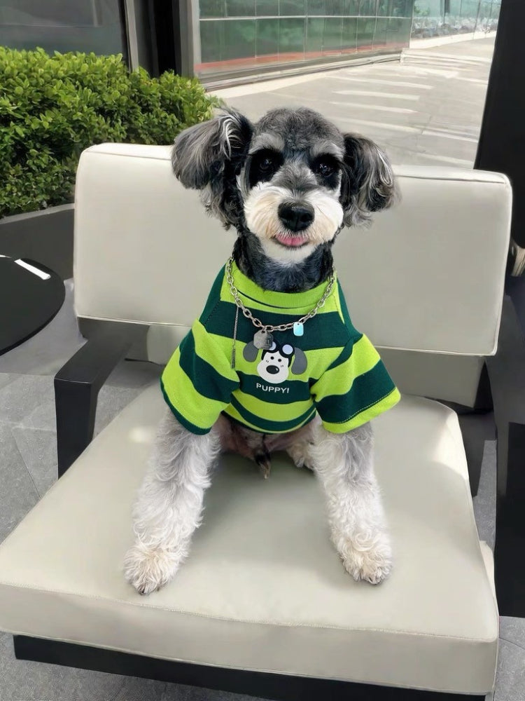 Miniature schnauzer wearing a green and dark green striped dog t-shirt with a puppy graphic on the front.