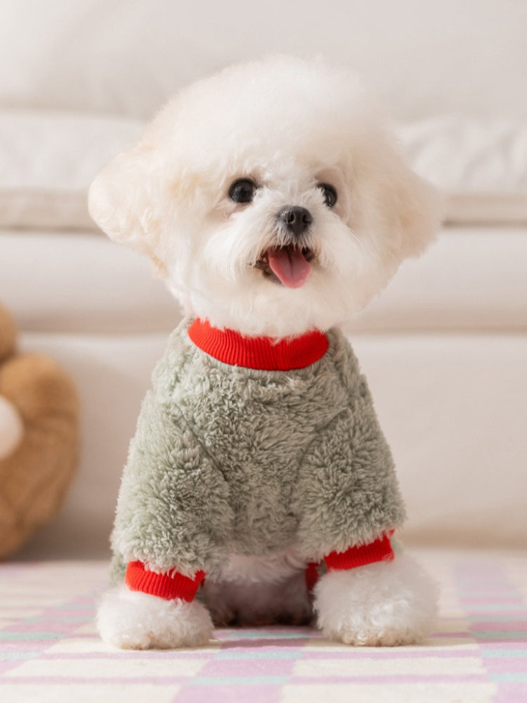 A white Bichon Frise dog wears a light green fleece dog sweater with red accents and an embroidered pattern.