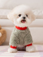 A white Bichon Frise dog wears a light green fleece dog sweater with red accents and an embroidered pattern.