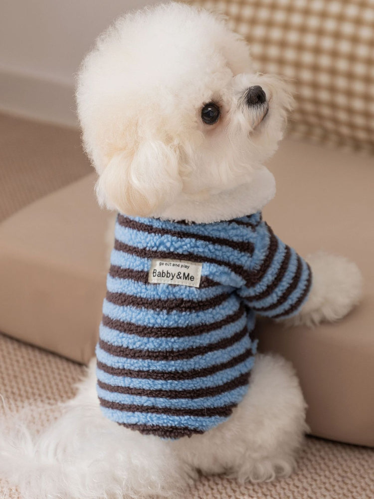 White dog wearing a blue and brown striped fleece sweater with a white collar.