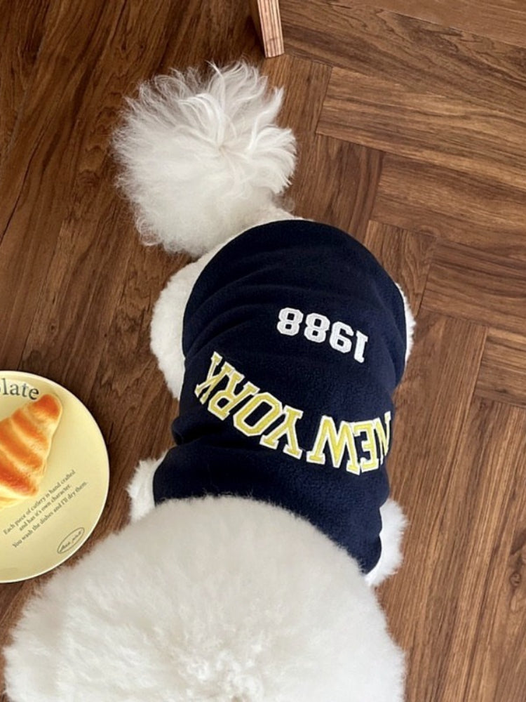 A white Bichon Frise dog wearing a navy blue and white "New York 1988" varsity jacket.