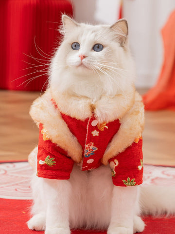 White cat wearing a red traditional Chinese style coat with floral embroidery and faux fur trim, looking to the side