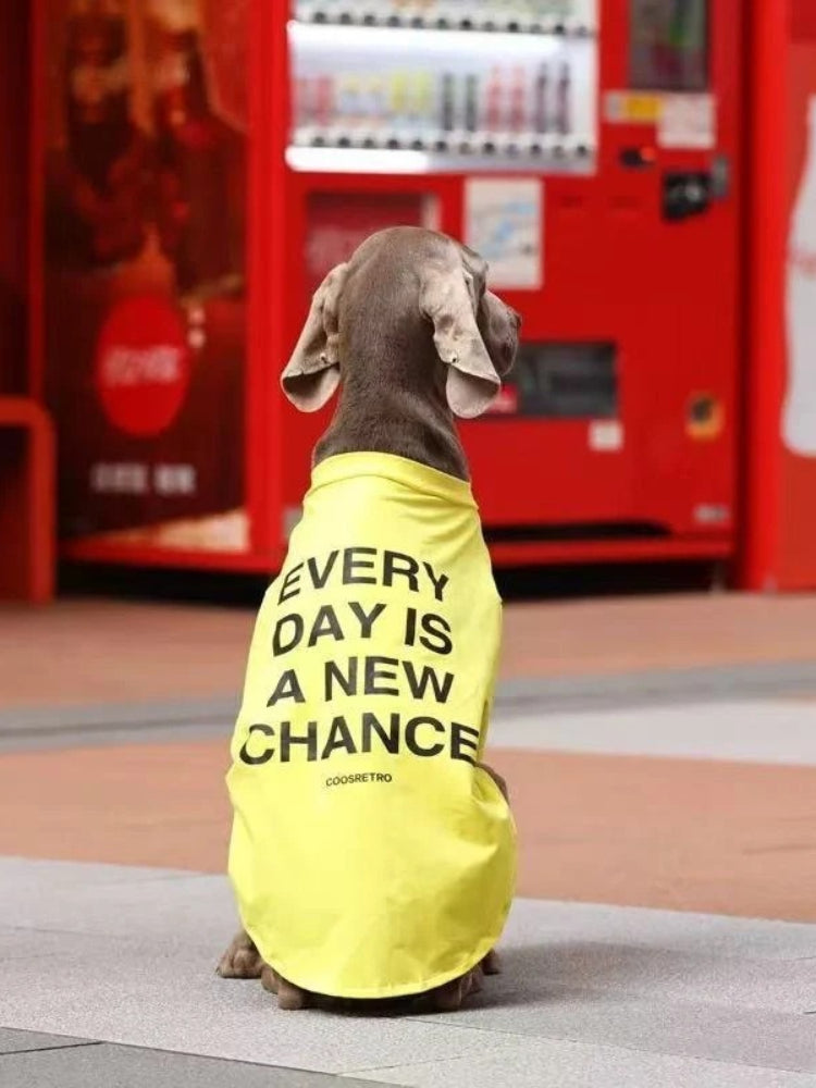 Rear view of a Weimaraner dog wearing a yellow t-shirt with text.