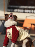 Dog with its mouth open wearing a warm dog sweater.