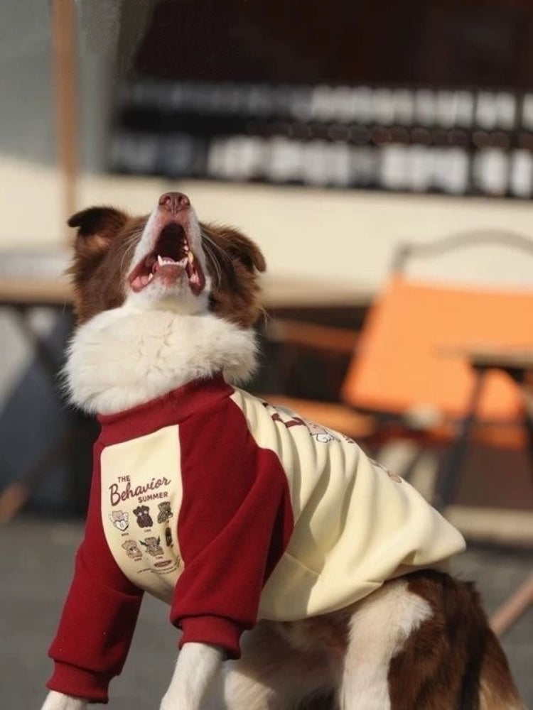 Dog with its mouth open wearing a warm dog sweater.