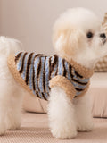 Side view of a small white dog wearing a blue and brown striped fleece vest