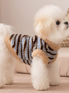 Side view of a small white dog wearing a blue and brown striped fleece vest