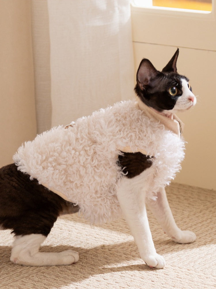 A black and white cat wearing a white faux fur coat standing.