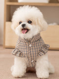 Small white dog wearing a brown plaid dog vest with ruffled trim
