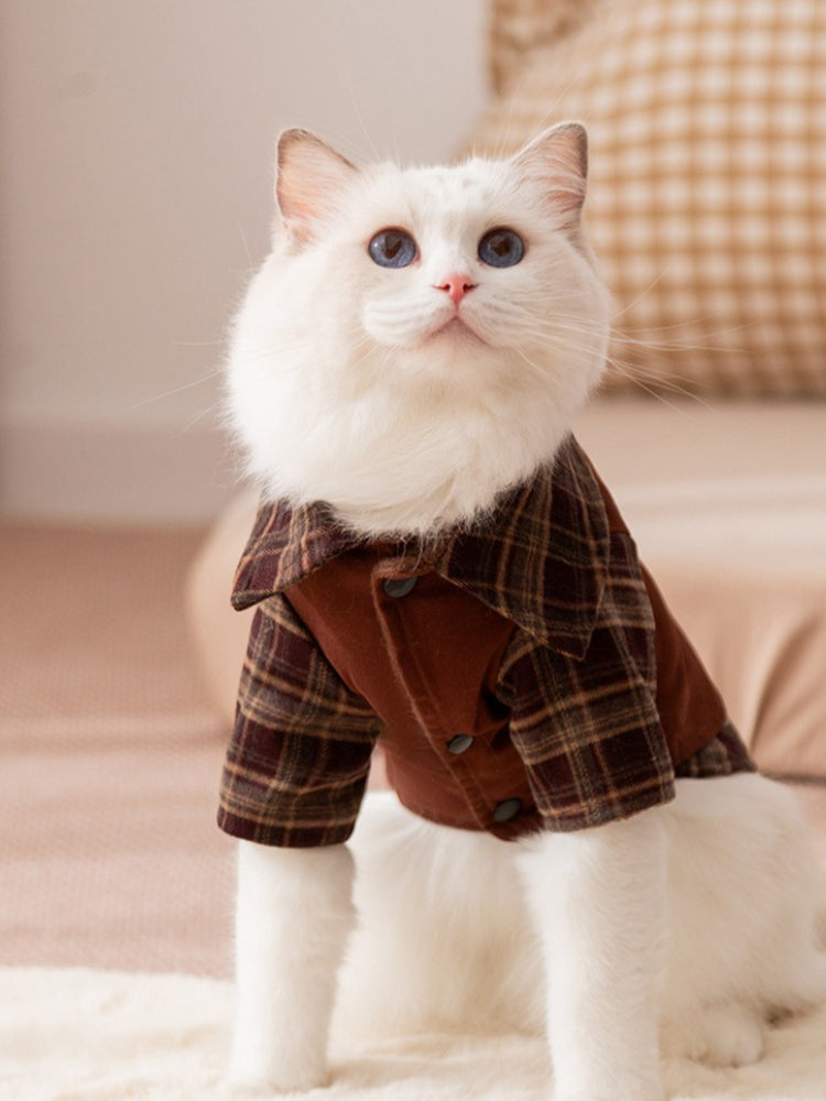 A white cat wearing a brown plaid pet shirt with a collar and button closure.