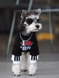Close-up of a mini schnauzer dog wearing a black graphic print pullover with white contrasting cuffs.