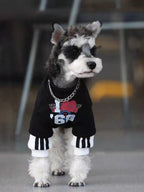 Close-up of a mini schnauzer dog wearing a black graphic print pullover with white contrasting cuffs.