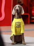 Weimaraner dog wearing a yellow t-shirt with the text 