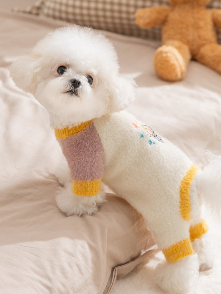 Front view of a white Bichon Frise sitting and looking forward, wearing a cream, pink, and yellow color block dog sweater.