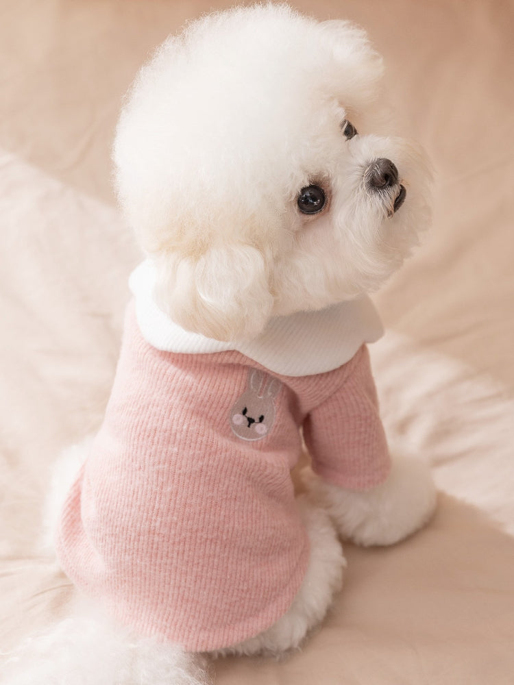 Back view of a white dog wearing a pink knit pet sweater with a white Peter Pan collar and a small embroidered bunny graphic on the back