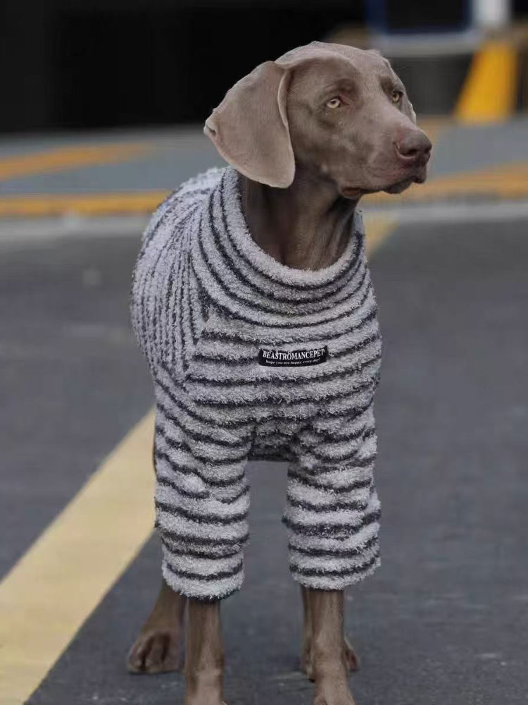 Weimaraner dog wearing a grey and black striped pet sweater