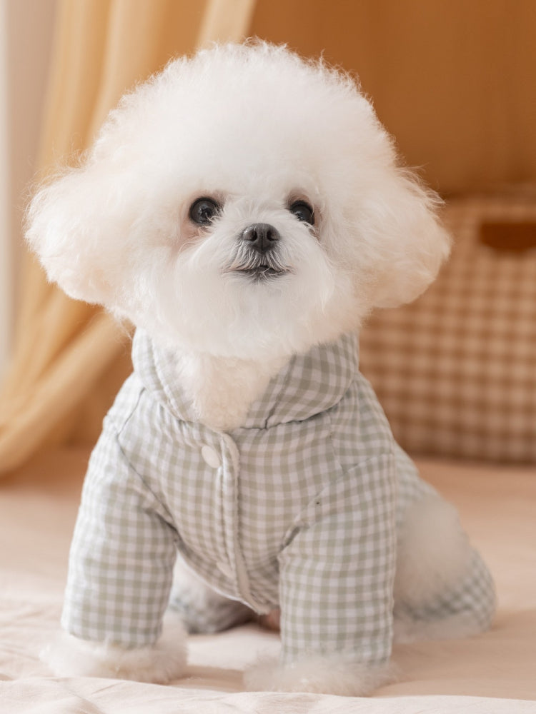 White Bichon Frise dog wearing a light green gingham hooded jumpsuit with a light green pom-pom