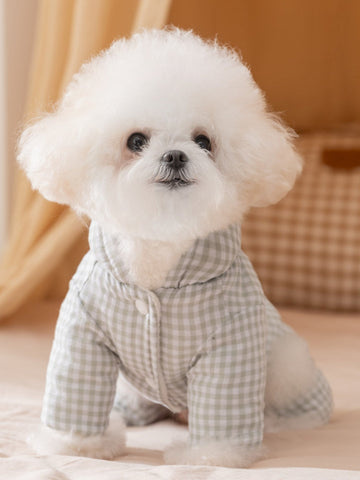 White Bichon Frise dog wearing a light green gingham hooded jumpsuit with a light green pom-pom