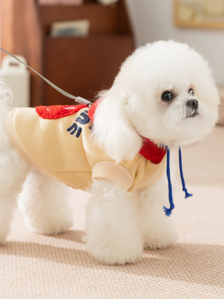 White dog wearing a yellow hoodie with a red hood and blue drawstrings, attached to a leash