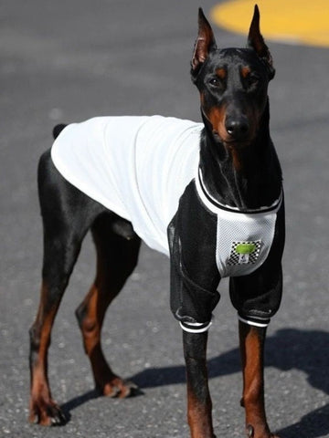 Large Dog Breathable Mesh T-Shirt