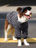 Side view of a dog in a black and white striped sweater and hat.