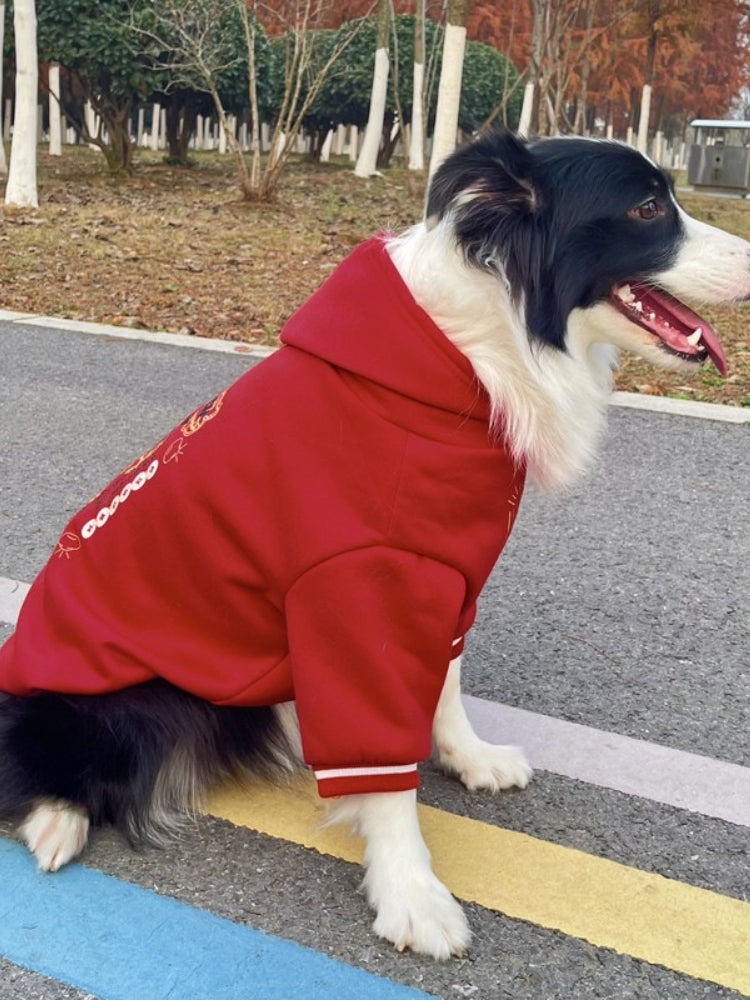 A dog wearing a red hooded jacket with graphic details on the back
