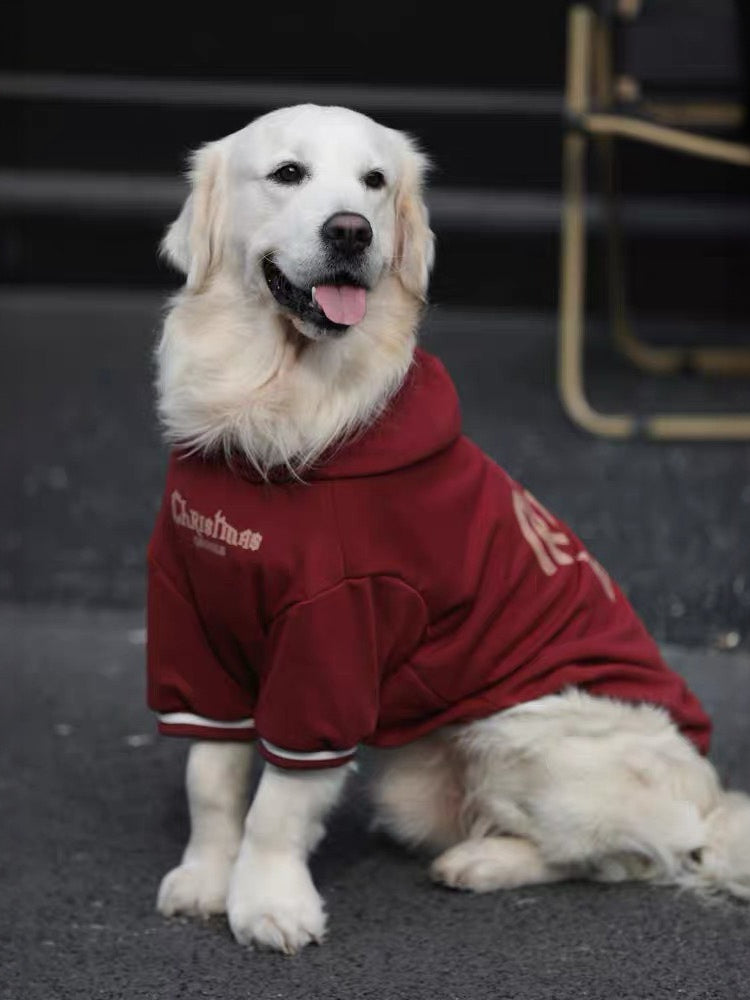 Sitting Golden Retriever wearing a red fleece dog hoodie, looking forward