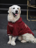 Sitting Golden Retriever wearing a red fleece dog hoodie, looking forward