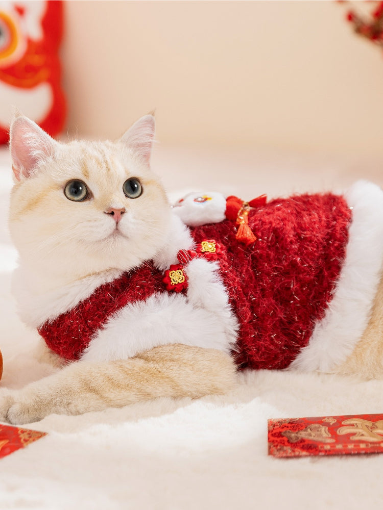 A cat in a red and white festive vest, lying down on a soft surface.