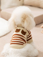 The back of a small white dog wearing a cream and brown striped knit sweater with two embroidered bear faces on the upper back.