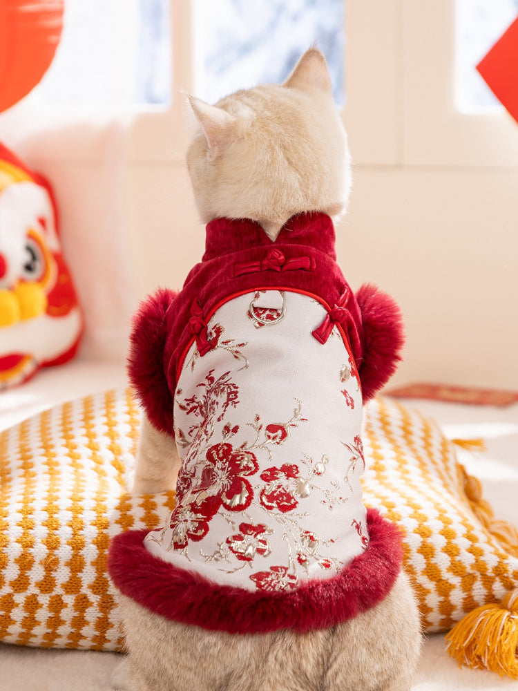 Cat wearing a red and white traditional Chinese inspired pet vest with faux fur trim and floral embroidery.