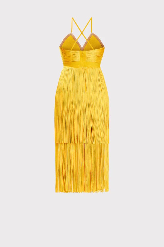 Dayn Sleeveless Tassel Slim Mini Dress - WEUXS