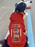 Back view of a Border Collie dog in a red hoodie with a large graphic print