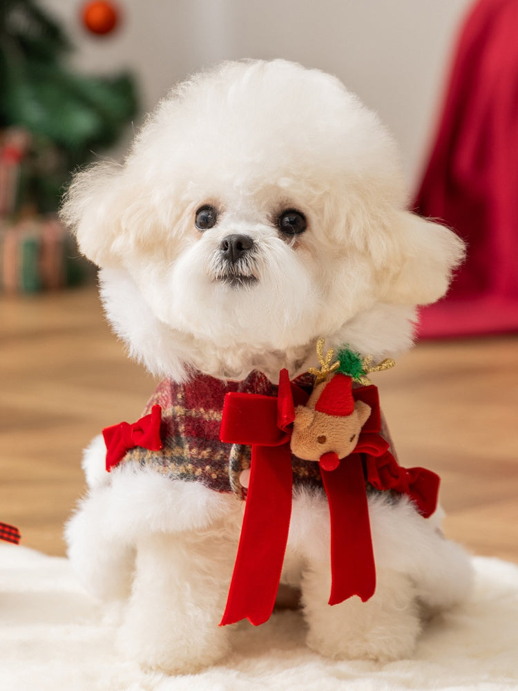 White dog wearing a red plaid pet coat with faux fur trim and reindeer antlers