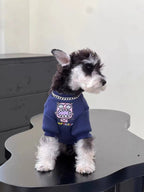 Side view of a miniature schnauzer puppy wearing a navy blue dog sweatshirt with a graphic print, looking to the right.