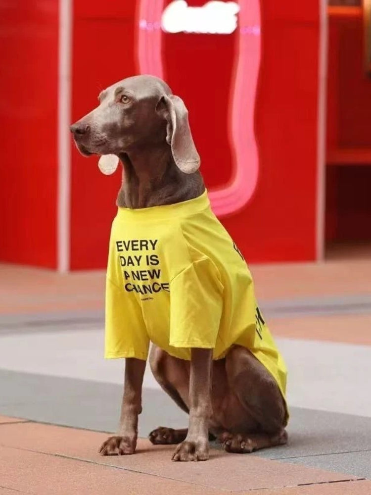 Large Dog Graphic T-Shirt
