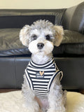 Small dog wearing a black and white striped tank top with a heart accent.